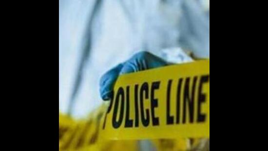2 girls injured after attack by pet Pitbull dog in Jalandhar