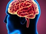 The study found that low to moderate levels of stress can help individuals develop resilience and reduce the risk of developing mental health disorders The study found that low to moderate levels of stress can help individuals develop resilience and reduce the risk of developing mental health disorders