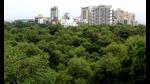 Mangroves along the Palm Beach Road in Nerul. Environmentalists claim that mangroves are being destroyed. (BACHCHAN KUMAR/HT PHOTO) Mangroves along the Palm Beach Road in Nerul. Environmentalists claim that mangroves are being destroyed. (BACHCHAN KUMAR/HT PHOTO)