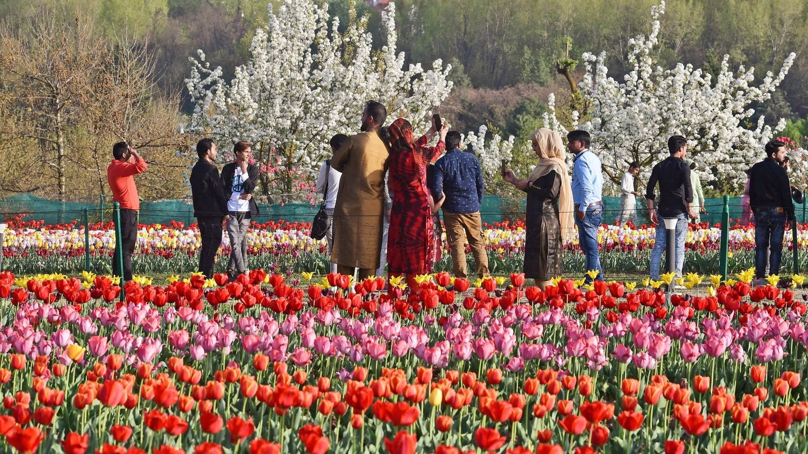 Jammu and Kashmir received record number of tourists, footfalls cross 1 crore