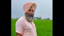 Even as most of the farmers are reluctant to shun the traditional method of paddy cultivation, Gurpartap Singh from Assandh in Karnal has emerged as a torchbearer by adopting the DSR technique.  He said since the yield and quality of the grain remain the same in both methods, I decided to adopt DSR technique as it takes less water than the traditional method.  (HT Photo)