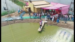 फाजिल्का में झींगा पालन प्रदर्शन इकाइयों की प्रगति की समीक्षा करती गडवासु टीम।  GADVASU, लुधियाना के निदेशक अनुसंधान जेपीएस गिल ने बताया कि विश्वविद्यालय ने राष्ट्रीय कृषि विकास योजना परियोजना के तहत तीन झींगा पालन इकाइयां विकसित की हैं।  (एचटी फोटो)
