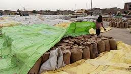 Ferozepur police on Wednesday booked six employees of a food procurement agency for embezzlement of more than 30,000 wheat bags worth <span class=