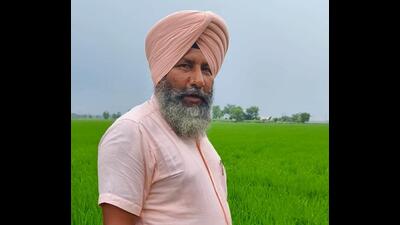 Even as most of the farmers are reluctant to shun the traditional method of paddy cultivation, Gurpartap Singh from Assandh in Karnal has emerged as a torchbearer by adopting the DSR technique. He said since the yield and quality of the grain remain the same in both methods, I decided to adopt DSR technique as it takes less water than the traditional method. (HT Photo) Even as most of the farmers are reluctant to shun the traditional method of paddy cultivation, Gurpartap Singh from Assandh in Karnal has emerged as a torchbearer by adopting the DSR technique. He said since the yield and quality of the grain remain the same in both methods, I decided to adopt DSR technique as it takes less water than the traditional method. (HT Photo)