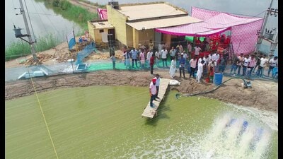 A GADVASU team reviewing progress of shrimp farming demonstration units in Fazilka. JPS Gill, director research, GADVASU, Ludhiana, informed that the university has developed three shrimp farming units under the Rashtriya Krishi Vikas Yojna project. (HT PHOTO)