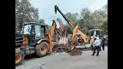 In the wake of the July 8 tree collapse at Carmel Convent School, CCPCR had last month asked schools in Chandigarh to also form their own internal audit committees and conduct their individual safety audits. (HT) In the wake of the July 8 tree collapse at Carmel Convent School, CCPCR had last month asked schools in Chandigarh to also form their own internal audit committees and conduct their individual safety audits. (HT)