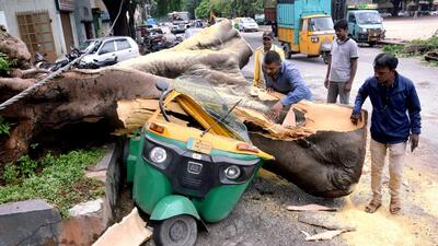 People remove a tree that got uprooted and fell on an auto-rickshaw due to heavy rainfall, at Chamrajpet, in Bengaluru on Wednesday. (Agencies) People remove a tree that got uprooted and fell on an auto-rickshaw due to heavy rainfall, at Chamrajpet, in Bengaluru on Wednesday. (Agencies)