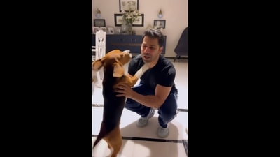 A screengrab from the Instagram video that shows Varun Dhawan getting kisses from his pet dog Joey. (Instagram/@varundvn) A screengrab from the Instagram video that shows Varun Dhawan getting kisses from his pet dog Joey. (Instagram/@varundvn)
