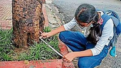 For want of tree census, Delhi residents branch out, hit streets For want of tree census, Delhi residents branch out, hit streets