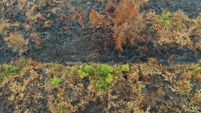 A smouldering peatland. (Representational image) A smouldering peatland. (Representational image)