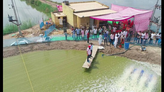 A GADVASU team reviewing progress of shrimp farming demonstration units in Fazilka. JPS Gill, director research, GADVASU, Ludhiana, informed that the university has developed three shrimp farming units under the Rashtriya Krishi Vikas Yojna project. (HT PHOTO)