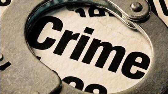 Police said the victim along with two others, were going to Amaravati in a truck with about 30 cows. (File image)