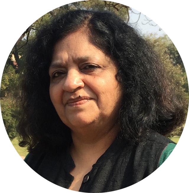 Sukrita Paul Kumar (Courtesy the subject) Sukrita Paul Kumar (Courtesy the subject)