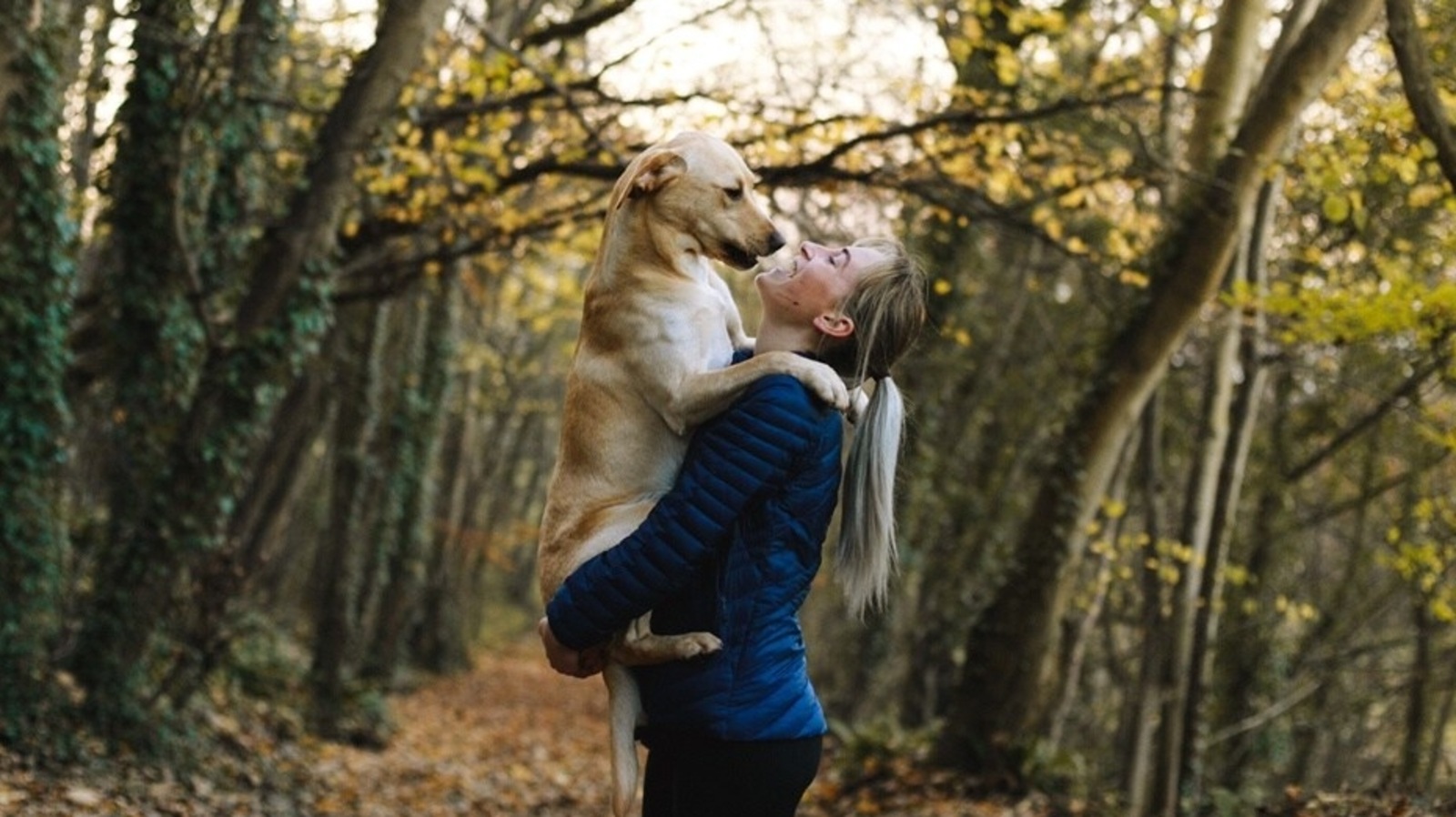 Happy Friendship Day 2022: Unique ways to celebrate this day with your pet buddies