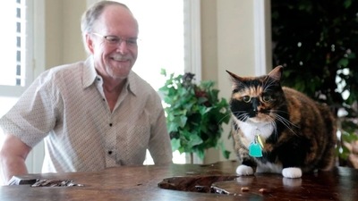 The image shows the cat named Bandit with her human. (Thomas Wells/Northeast Mississippi Daily Journal via AP)