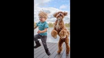 The video shows this child's parting message to the dog he has grown up with. (Instagram/@reagandoodle) The video shows this child's parting message to the dog he has grown up with. (Instagram/@reagandoodle)
