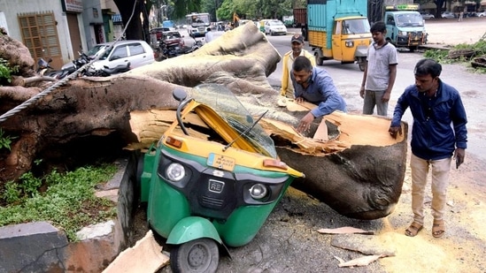 People remove a tree that got uprooted and fell on an auto-rickshaw due to heavy rainfall, at Chamrajpet, in Bengaluru on Wednesday. (Agencies)