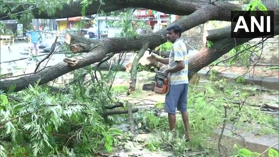 Bengaluru's rains uprooted several trees across the city, which blocked roads and worsened traffic congestions.(ANI)