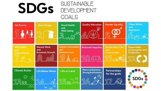The Sustainable Development Goals (SDGs) Report 2022 has finally revealed the severity of the social, economic and environmental setbacks endured by the world during the two-years spanning the Covid-19 pandemic.(Shutterstock)