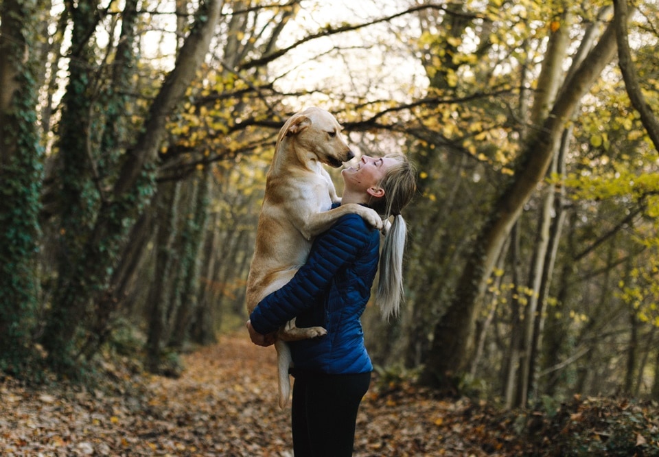 Happy Friendship Day 2022: Take out time from your hectic schedules and dedicate this day to your loving pets (Pexels)