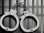 Two including a DU student held for harassing woman at Delhi metro station Two including a DU student held for harassing woman at Delhi metro station