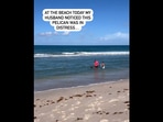 The image, taken from the Instagram video, shows two men rescuing a pelican tangled in fishing line.