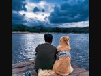 The image shows a Golden Retriever named Oscar with his pet dad.