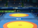 Representational image of wrestling stadium(File)
