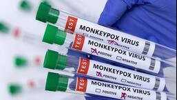 Eleven samples were tested at NIV and the remaining at Kasturba Hospital. (REPRESENTATIVE PHOTO)