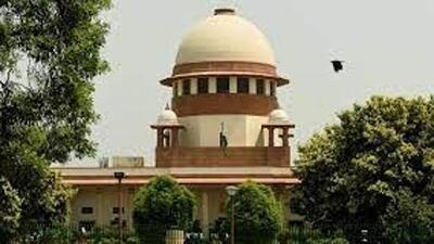 The Supreme Court on Friday stopped any felling of trees at Mumbai’s Aarey forest area till it takes up the petition filed by environmental activists on Wednesday challenging a proposed Metro shed in the colony. (HT PHOTO.) The Supreme Court on Friday stopped any felling of trees at Mumbai’s Aarey forest area till it takes up the petition filed by environmental activists on Wednesday challenging a proposed Metro shed in the colony. (HT PHOTO.)