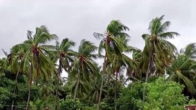 Cyclone Tauktae affected India's west coast in May 2021. (ANI/Representative) Cyclone Tauktae affected India's west coast in May 2021. (ANI/Representative)