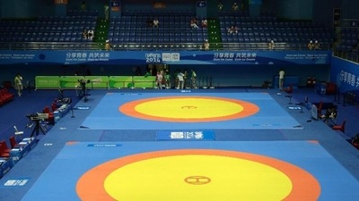 Representational image of wrestling stadium (File)