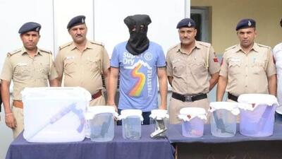 Chandigarh Police recovered seven weapons from the accused. (HT Photo) Chandigarh Police recovered seven weapons from the accused. (HT Photo)