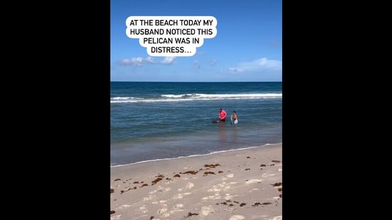 The image, taken from the Instagram video, shows two men rescuing a pelican tangled in fishing line.(Instagram/@salty.and.sunkissed)