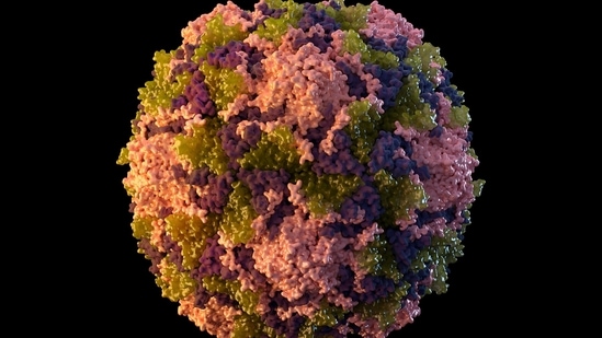 This 2014 illustration made available by the US Centres for Disease Control and Prevention depicts a polio virus particle.&nbsp;(AP)