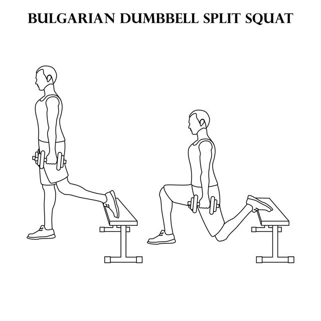 The Bulgarian Split Squat actively targets the cardio vascular system along with overloading the muscular system (Shutterstock) The Bulgarian Split Squat actively targets the cardio vascular system along with overloading the muscular system (Shutterstock)