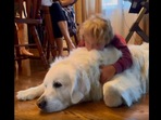 The image, taken from the Instagram video, shows the kid with a Golden Retriever.