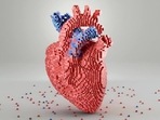 Relationship among diabetes, fat and cardiovascular disease: Study(Unsplash) Relationship among diabetes, fat and cardiovascular disease: Study(Unsplash)
