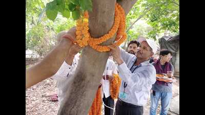 Prof NB Singh tying a rakhi to a tree on Saturday. (HT Photo) Prof NB Singh tying a rakhi to a tree on Saturday. (HT Photo)