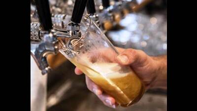 A dedicated plant is being set up in Prayagraj where beer would be prepared on the spot. (For Representation) A dedicated plant is being set up in Prayagraj where beer would be prepared on the spot. (For Representation)