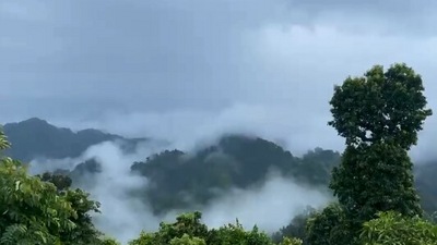 The video shared by the IFS officer showing his workplace. (Twitter/@ParveenKaswan)