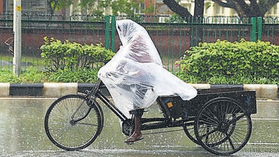 Trace rainfall was recorded in Chandigarh on Saturday. Chances of light rain will continue on Sunday, but will diminish over the next two days, according to the weather department. (Keshav Singh/HT)