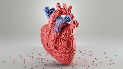 Relationship among diabetes, fat and cardiovascular disease: Study (Unsplash) Relationship among diabetes, fat and cardiovascular disease: Study (Unsplash)
