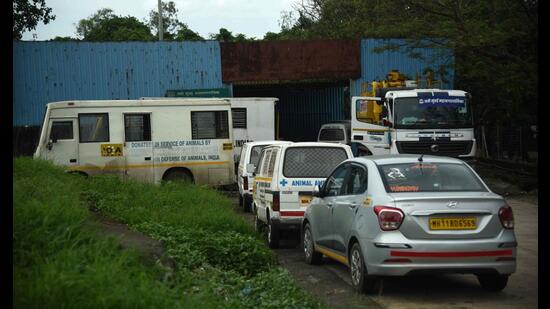 Activists, dog lovers allege negligence at Navi Mumbai dog sterilisation centre | Mumbai news - Hindustan Times Activists, dog lovers allege negligence at Navi Mumbai dog sterilisation centre | Mumbai news - Hindustan Times