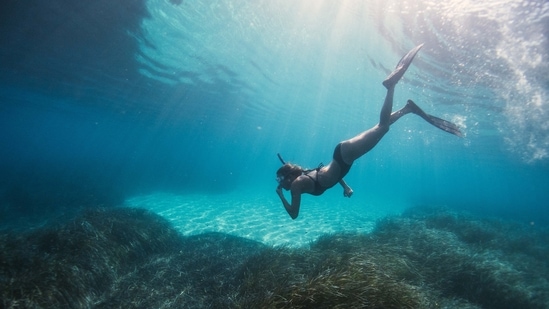 Go Snorkelling: This is one of the most popular activities in the Maldives. Whether you are a water baby or not, you should experience snorkelling in the Maldives since is an ultimate destination with about 2,500 reefs.(Unsplash)