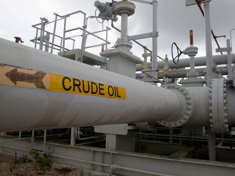The three state-run firms that control over 90% domestic fuel trade have suspended their daily pricing policy and frozen pump prices of petrol and diesel since April 7 amid rising inflation. (REUTERS/Richard Carson/File Photo)