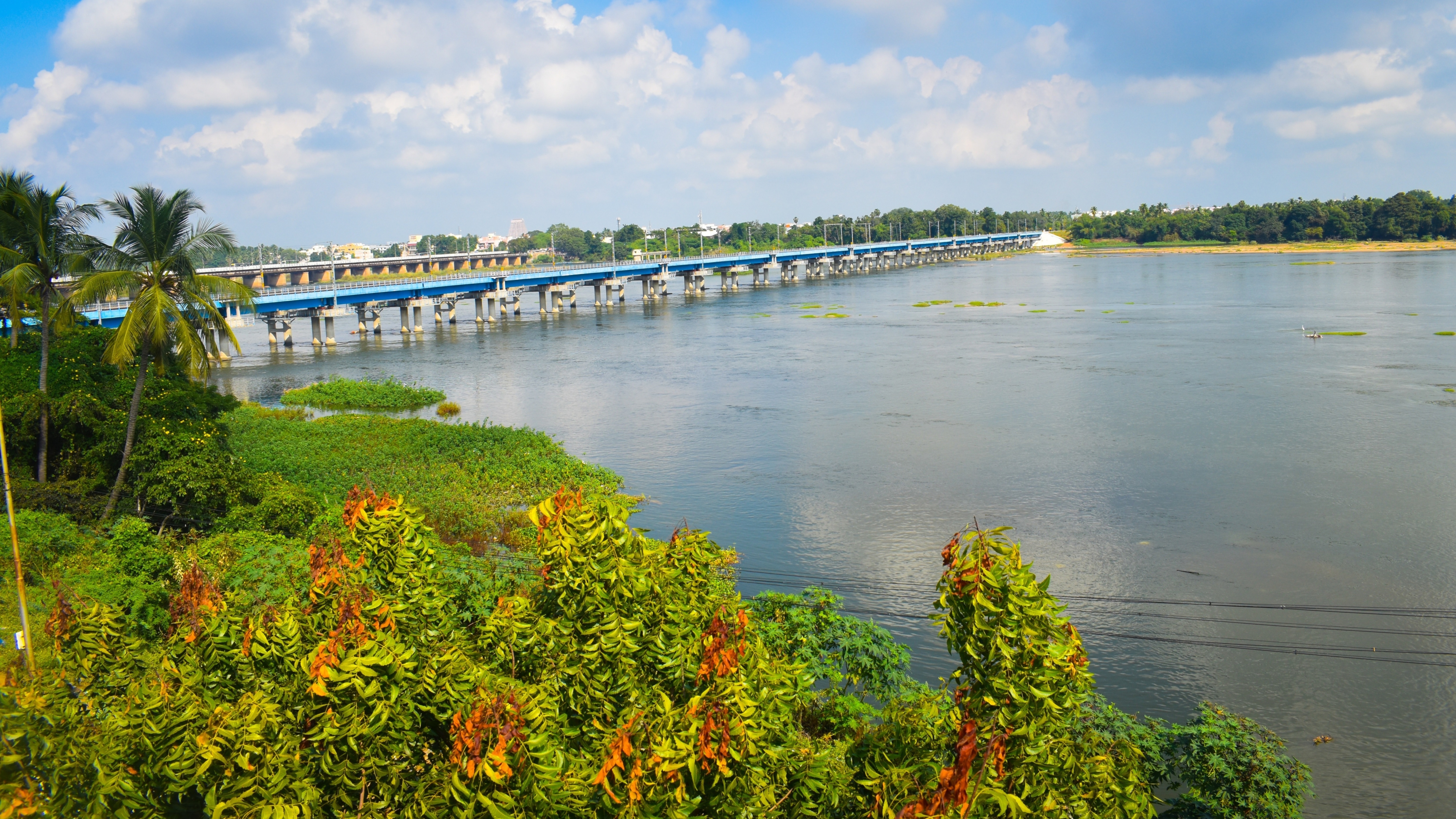 While blue indicates water bodies such as rivers and tanks, green spaces include trees, parks, and gardens. Together, these spaces can address a host of urban challenges. (Shutterstock) While blue indicates water bodies such as rivers and tanks, green spaces include trees, parks, and gardens. Together, these spaces can address a host of urban challenges. (Shutterstock)
