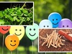Used since time immemorial for both medicinal and culinary purposes, certain herbs have antioxidant, anti-inflammatory, as well as properties that affect cognition and mood. Used since time immemorial for both medicinal and culinary purposes, certain herbs have antioxidant, anti-inflammatory, as well as properties that affect cognition and mood.