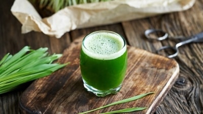 Wheatgrass contains iron, calcium, magnesium and amino acids. It helps in reducing blood pressure and promoting higher metabolism of the body. (Unsplash)