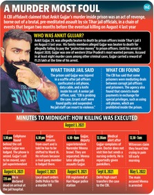 HT has seen a copy of the affidavit, documenting an extensive version of events after interviewing 113 witnesses. (HT Illustration) HT has seen a copy of the affidavit, documenting an extensive version of events after interviewing 113 witnesses. (HT Illustration)